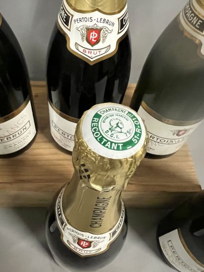 6 bottles CHAMPAGNE 