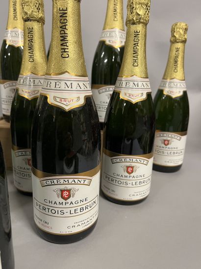 11 bottles CHAMPAGNE Pertois-Lebrun (Cra...