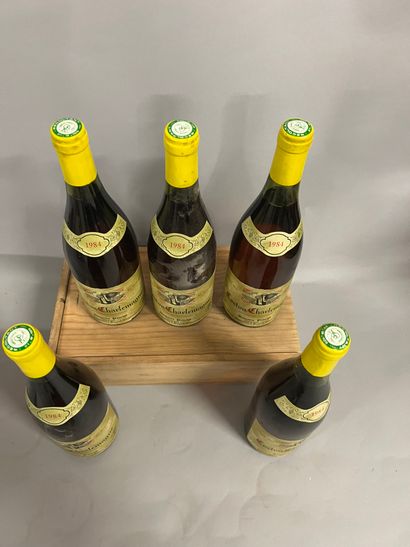 5 bottles CORTON CHARLEMAGNE, Pavelot 19...