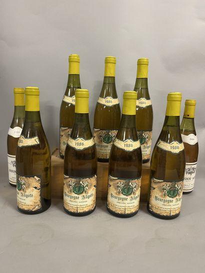 9 bottles BOURGOGNE aligoté, (7 Bouton 1986,...