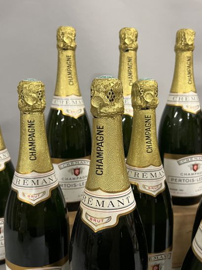 11 bottles CHAMPAGNE Pertois-Lebrun (Cra...