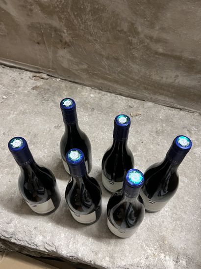 6 bottles HAUTES-COTES DE BEAUNE 