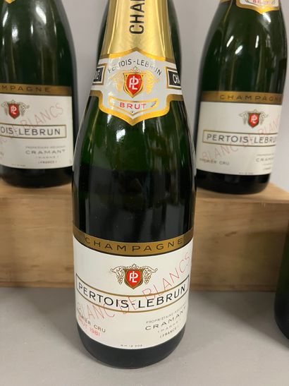 6 bottles CHAMPAGNE 