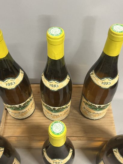 6 bottles SAINT-AUBIN 