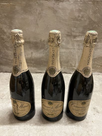 3 bottles CHAMPAGNE 