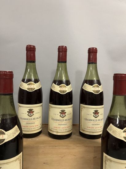 5 bottles CHAMBOLLE-MUSIGNY 