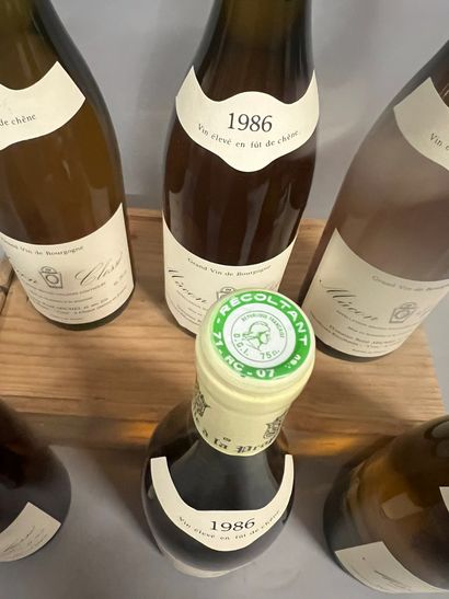 6 bottles MACON CLESSE, René Michel 1986