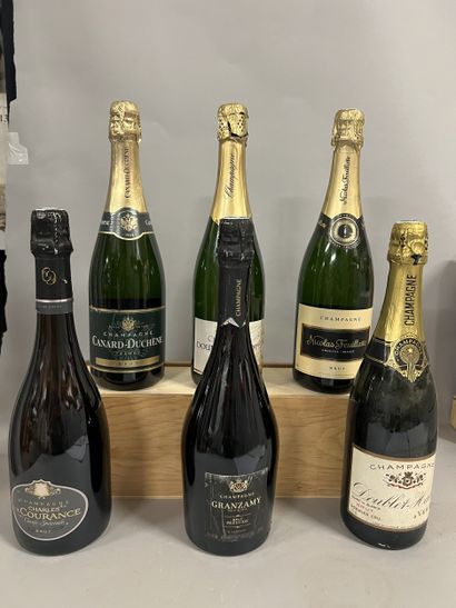 6 bottles CHAMPAGNE DIVERS (1 Bouble-Hadot...