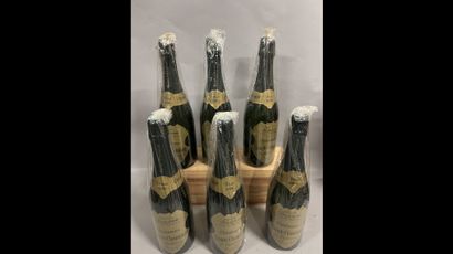 6 bottles CHAMPAGNE Saint-Chamand 2006