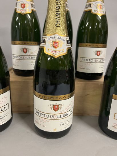 6 bottles CHAMPAGNE 