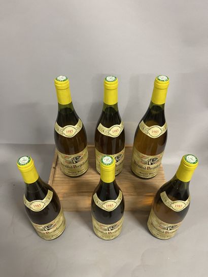 6 bottles PERNAND-VERGELESSES Pavelot 1985...