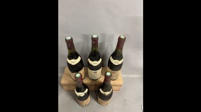 5 bottles NUITS-ST-GEORGES C. Confuron 1980...