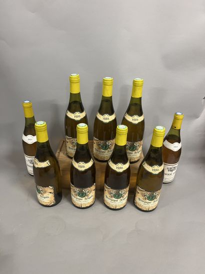 9 bottles BOURGOGNE aligoté, (7 Bouton 1986,...