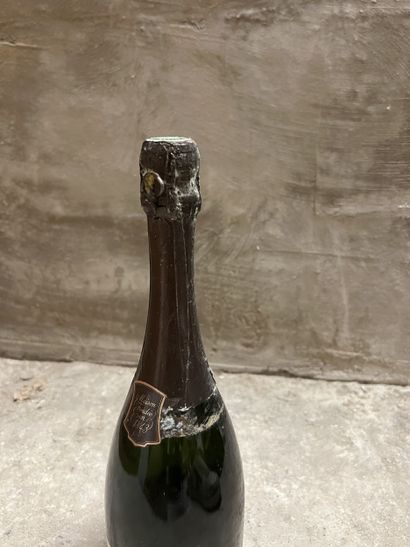1 bottle vintage CHAMPAGNE, Krug 1981 (ea,...