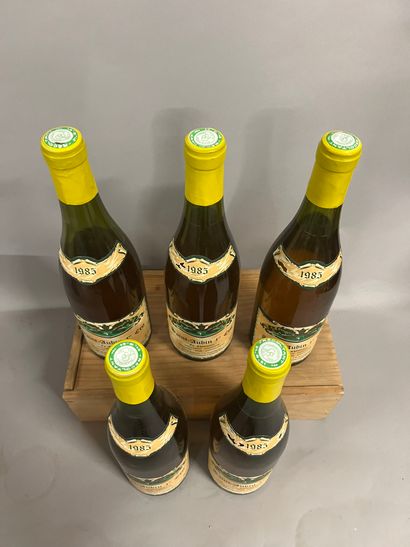 5 bottles SAINT-AUBIN 