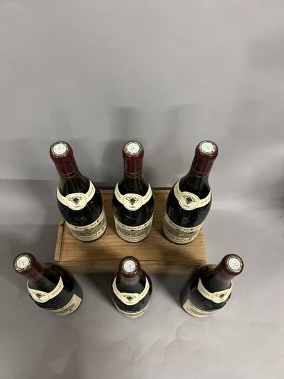 6 bottles CHATEAUNEUF-DU-PAPE 