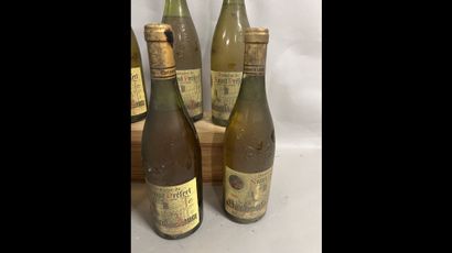 6 bottles CHATEAUNEUF-DU-PAPE BLANC Domaine...