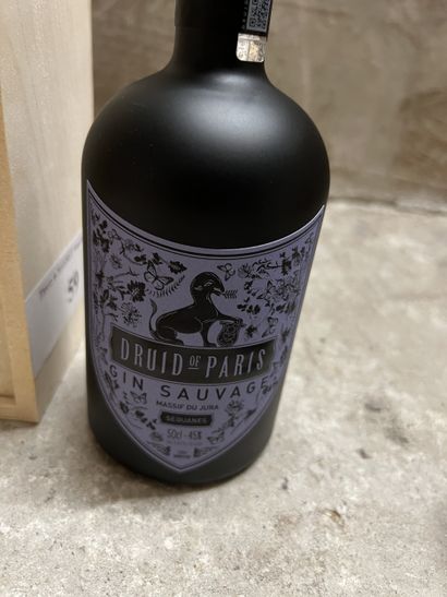 1 bottle GIN 