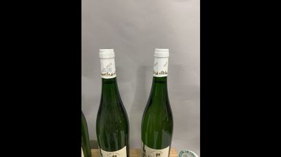 6 bottles GAILLAC O. de Sérac (white)