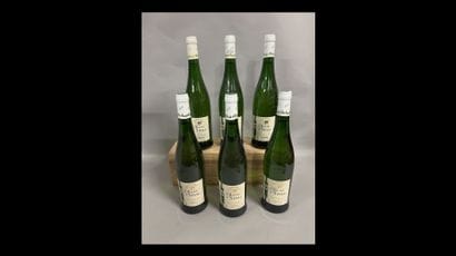 6 bottles GAILLAC O. de Sérac (white)
