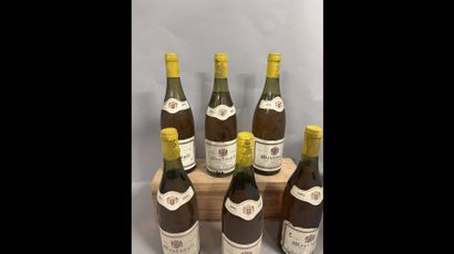 6 bottles MEURSAULT J. Buisson 1983 (ela,...