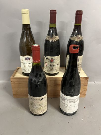 5 bouteilles BOURGOGNE DIVERS, (1 Bouchard...