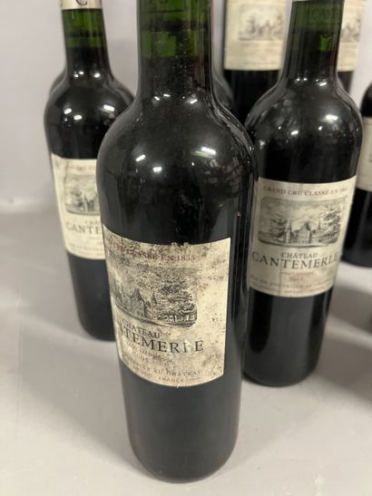 12 bottles Château CANTEMERLE, 5° cru Haut-Médoc...
