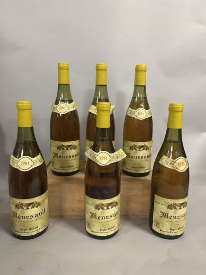 6 bottles MEURSAULT R. Billard 1983 (1 L...