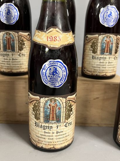 6 bouteilles BLAGNY 