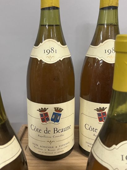 3 bottles PULIGNY-MONTRACHET Lycée Viticole...