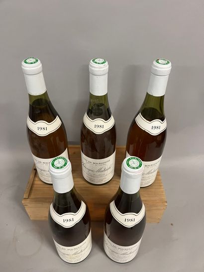 5 bottles CHASSAGNE-MONTRACHET 