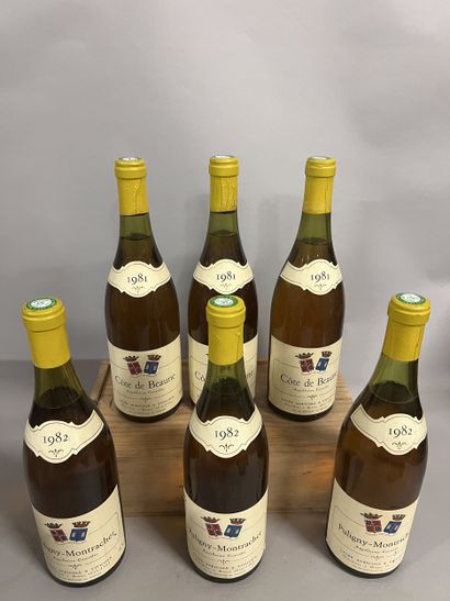 3 bottles PULIGNY-MONTRACHET Lycée Viticole...