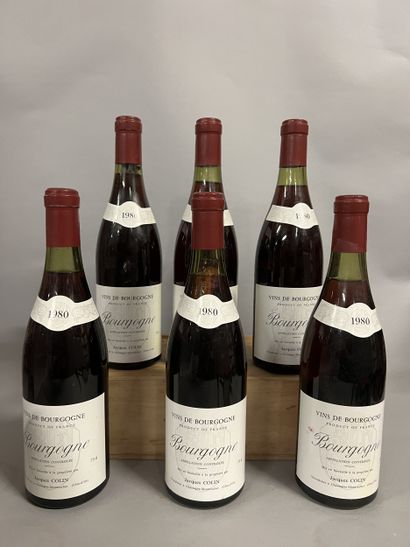 6 bottles BOURGOGNE J. Colin 1980 (TLB)