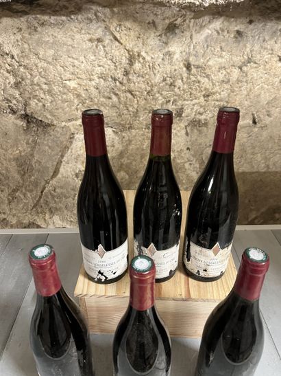6 bouteilles SAVIGNY-VERGELESSES 