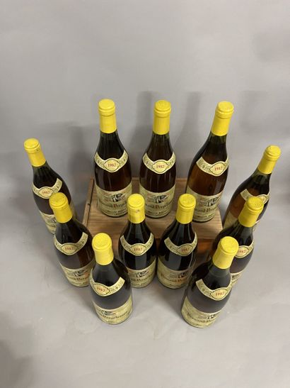 11 bottles PERNAND-VERGELESSES Pavelot 1982...
