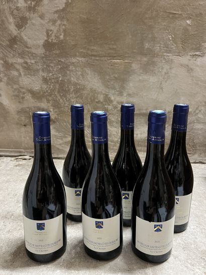6 bottles HAUTES-COTES DE BEAUNE 
