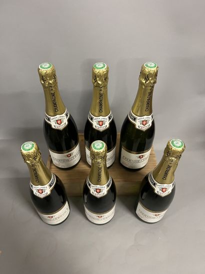 6 bottles CHAMPAGNE 