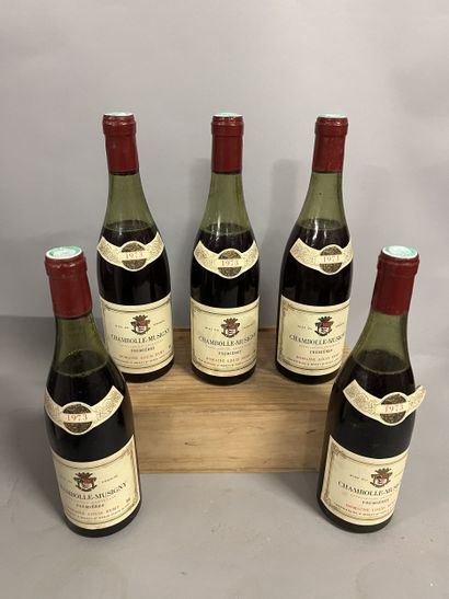 5 bottles CHAMBOLLE-MUSIGNY 