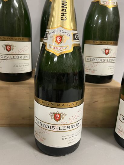 6 bottles CHAMPAGNE 