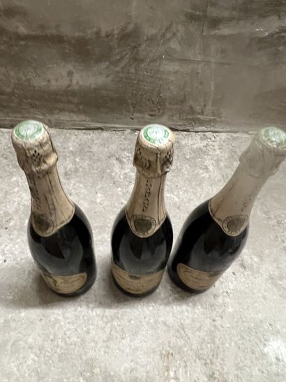 3 bottles CHAMPAGNE 
