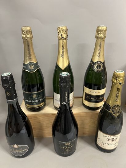 6 bottles CHAMPAGNE DIVERS (1 Bouble-Hadot...
