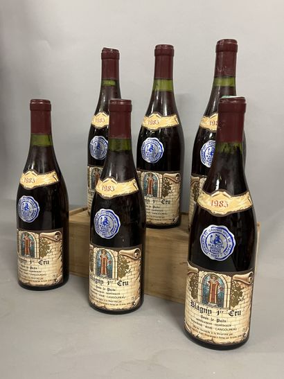 6 bouteilles BLAGNY 