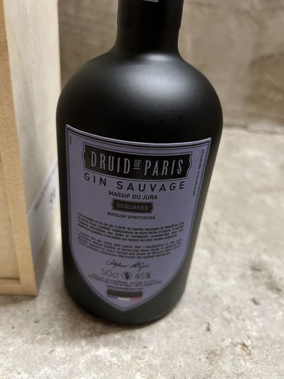1 bottle GIN 