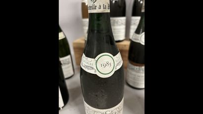 9 bottles PULIGNY-MONTRACHET 
