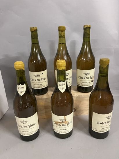 6 bottles COTES DU JURA Savagnin, M. Perron...