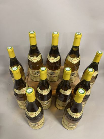11 bottles BOURGOGNE aligoté, Pavelot 1983...