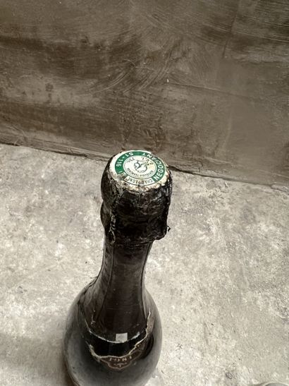 1 bottle vintage CHAMPAGNE, Krug 1981 (ea,...