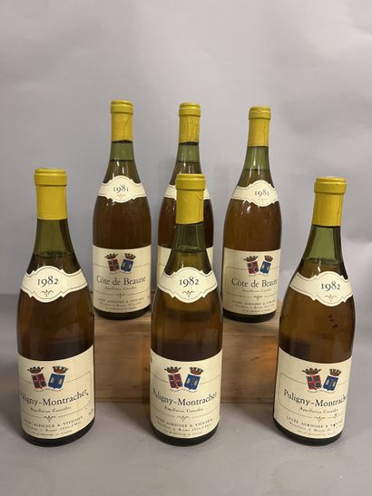 3 bottles PULIGNY-MONTRACHET Lycée Viticole...