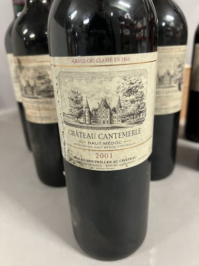11 bottles Château CANTEMERLE, 5° cru Haut-Médoc...