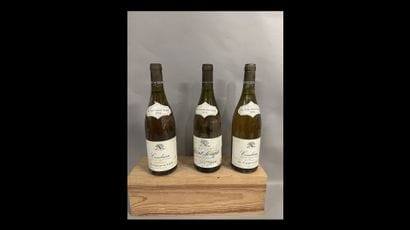 3 bottles COTES-DU-RHONE BLANC M. Chapoutier...
